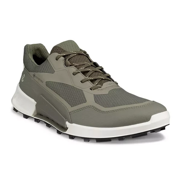 Кроссовки ECCO BIOM 2.1 X MOUNTAIN M, разноцветный, арт. 823924/61480