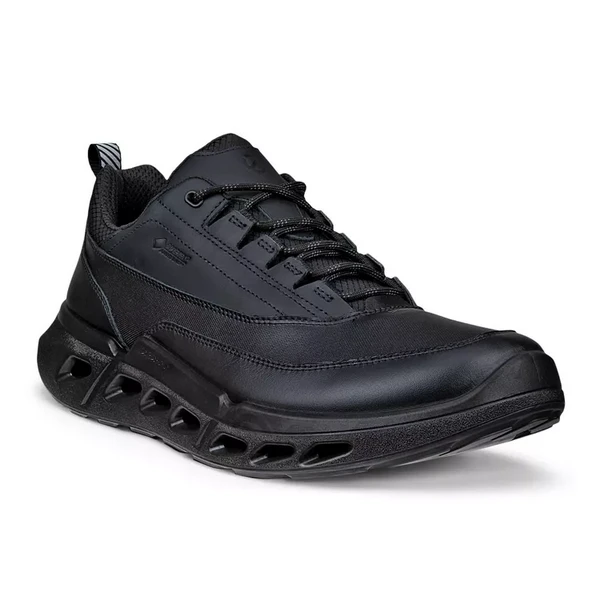 Кроссовки ECCO BIOM 720 M, черный, арт. 850304/51094