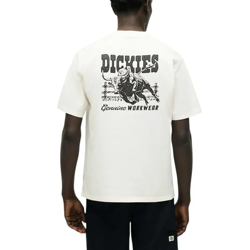 Футболка Dickies Coalfield Flight, белый, арт. DK0A883B