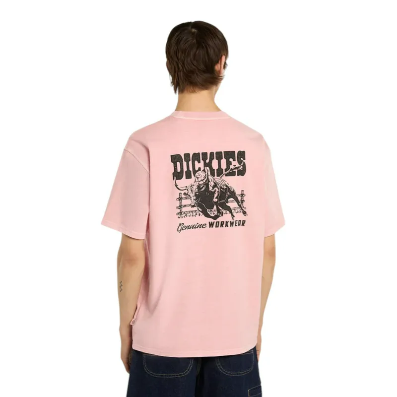 Футболка Dickies Coalfield Flight, розовый, арт. DK0A883B