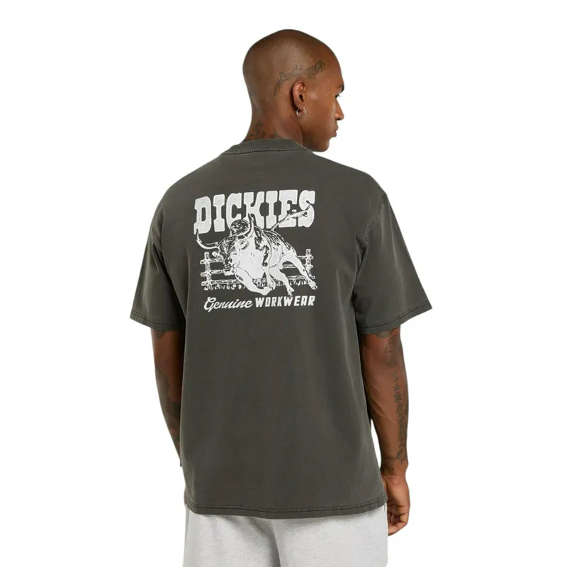 Футболка Dickies Coalfield Flight, черный, арт. DK0A883B
