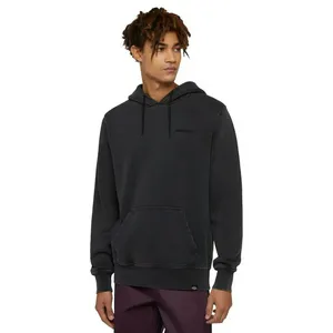 Толстовка Dickies Plentywood Hoodie, черный, арт. DK0A866D