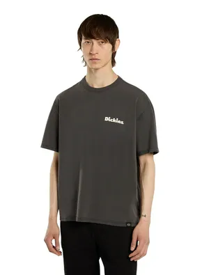 Футболка Dickies Slayden GD, серый, арт. DK0A87QR