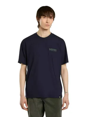 Футболка Dickies Pelham Tee SS, черный, арт. DK0A87QJ