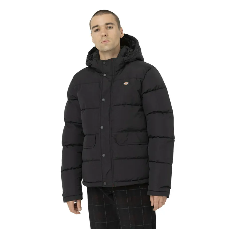 Куртка Dickies Glacier View Puffer, черный, арт. DK0A4Y3W