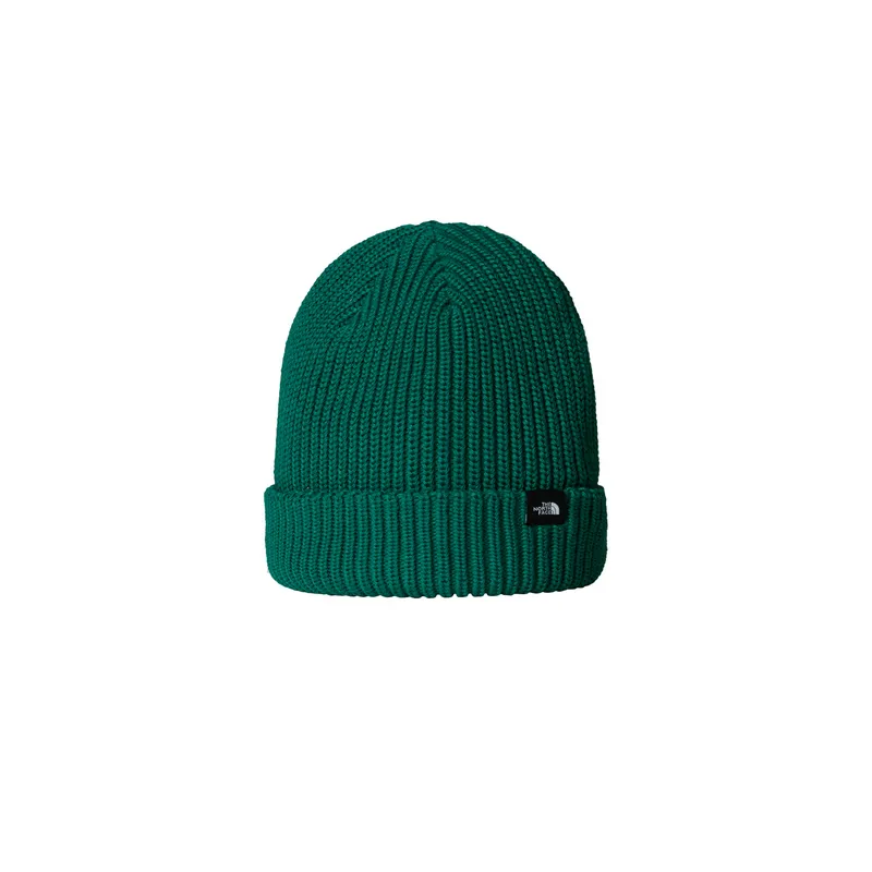 Шапка The North Face Fisherman Beanie, зеленый, арт. NF0A55JG