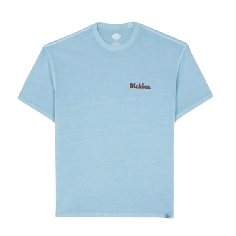 Футболка Dickies Slayden GD Tee SS, голубой, арт. DK0A87QR