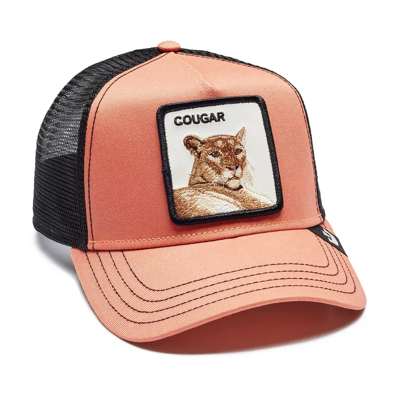 Кепка Goorin Brothers Cougar, разноцветный, арт. GB91654