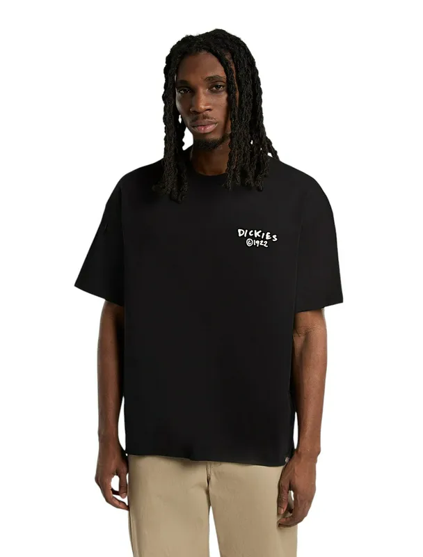 Футболка Dickies Sneedville Tee SS, черный, арт. DK0A87QO