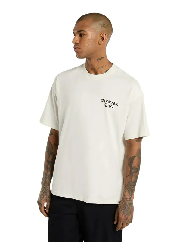 Футболка Dickies Sneedville Tee SS, белый, арт. DK0A87QO