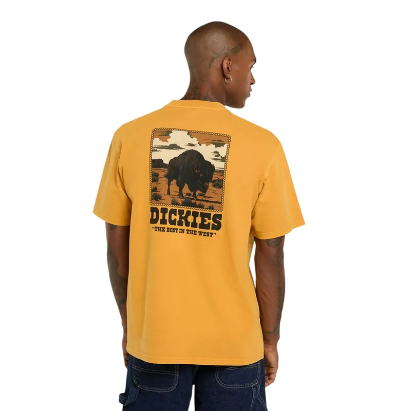Футболка Dickies Darrtown SS Tee, желтый, арт. DK0A88QQ