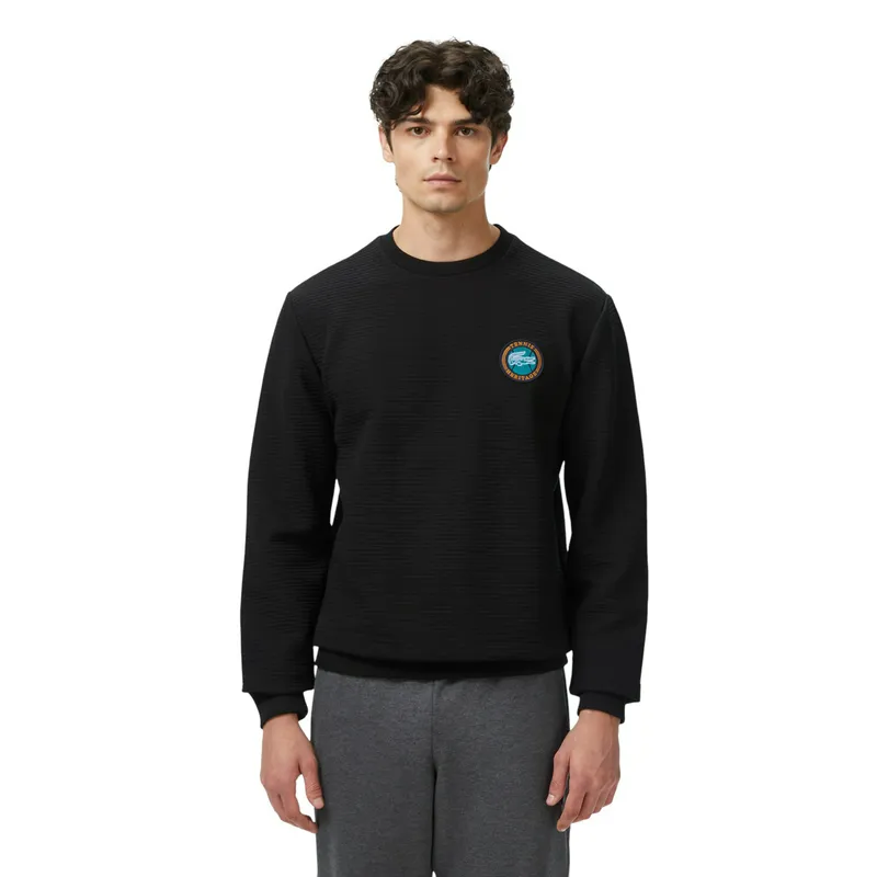 Лонгслив Lacoste, черный, арт. TH2633