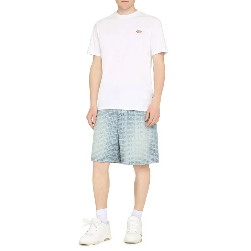 Футболка Dickies Mapleton, белый, арт. DK0A4XDB