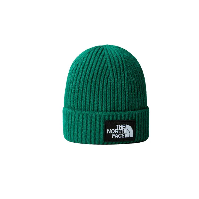 Шапка The North Face Logo Box Cuffed Beanie, зеленый, арт. NF0A3FJX