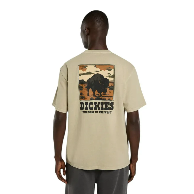 Футболка Dickies Darrtown, бежевый, арт. DK0A88QQ