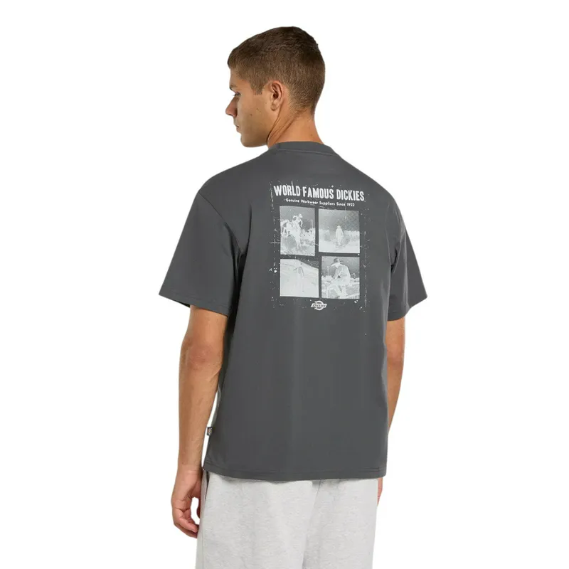 Футболка Dickies Wolfhurst SS Tee, серый, арт. DK0A88QO
