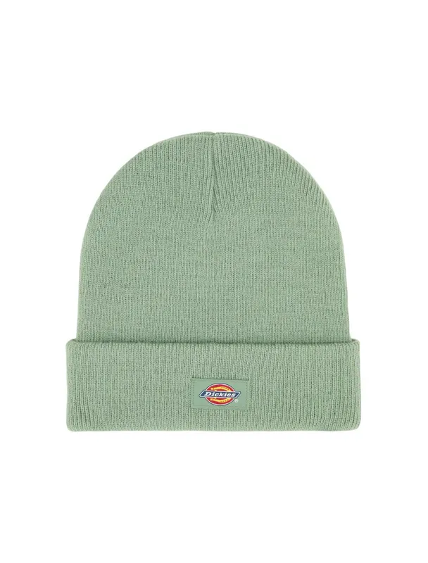 Шапка Dickies Gibsland, зеленый, арт. DK0A4X7K