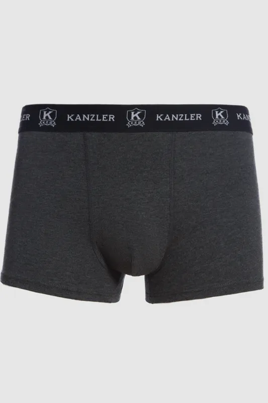 Мужские трусы Kanzler из хлопка, серый, арт. 129311