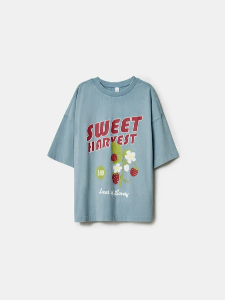 Футболка оверсайз Sela с принтом Sweet Harvest, арт. SL6805050209