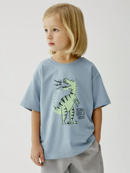 Футболка SELA оверсайз с принтом Дино, арт. SL6804060214