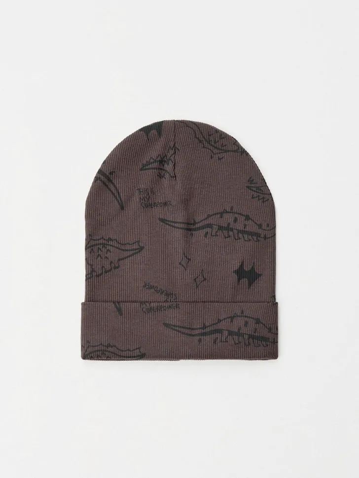 Трикотажная шапка с принтом для мальчиков, арт. 5802173319