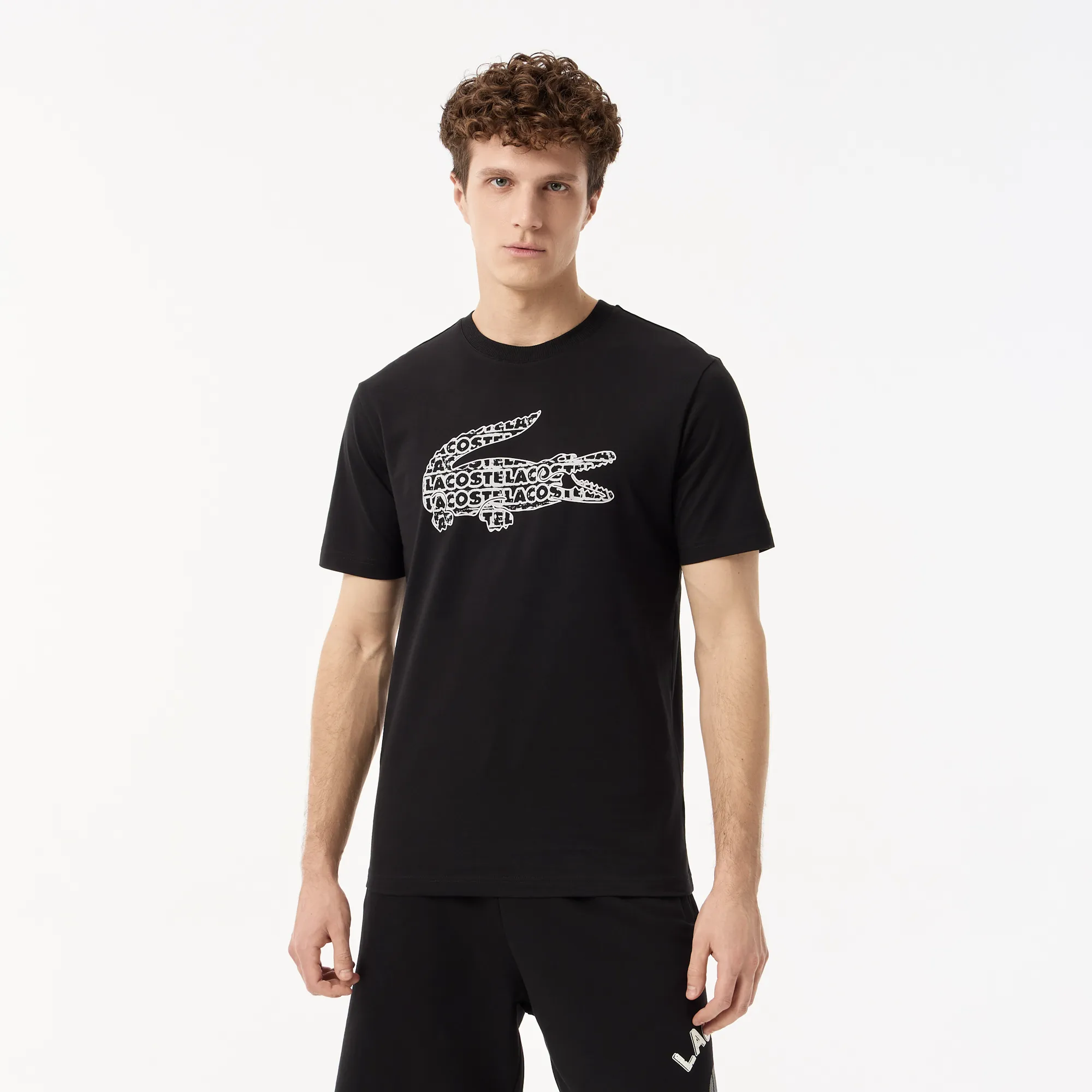 Мужская футболка Lacoste из хлопка, черный, арт. TH0508