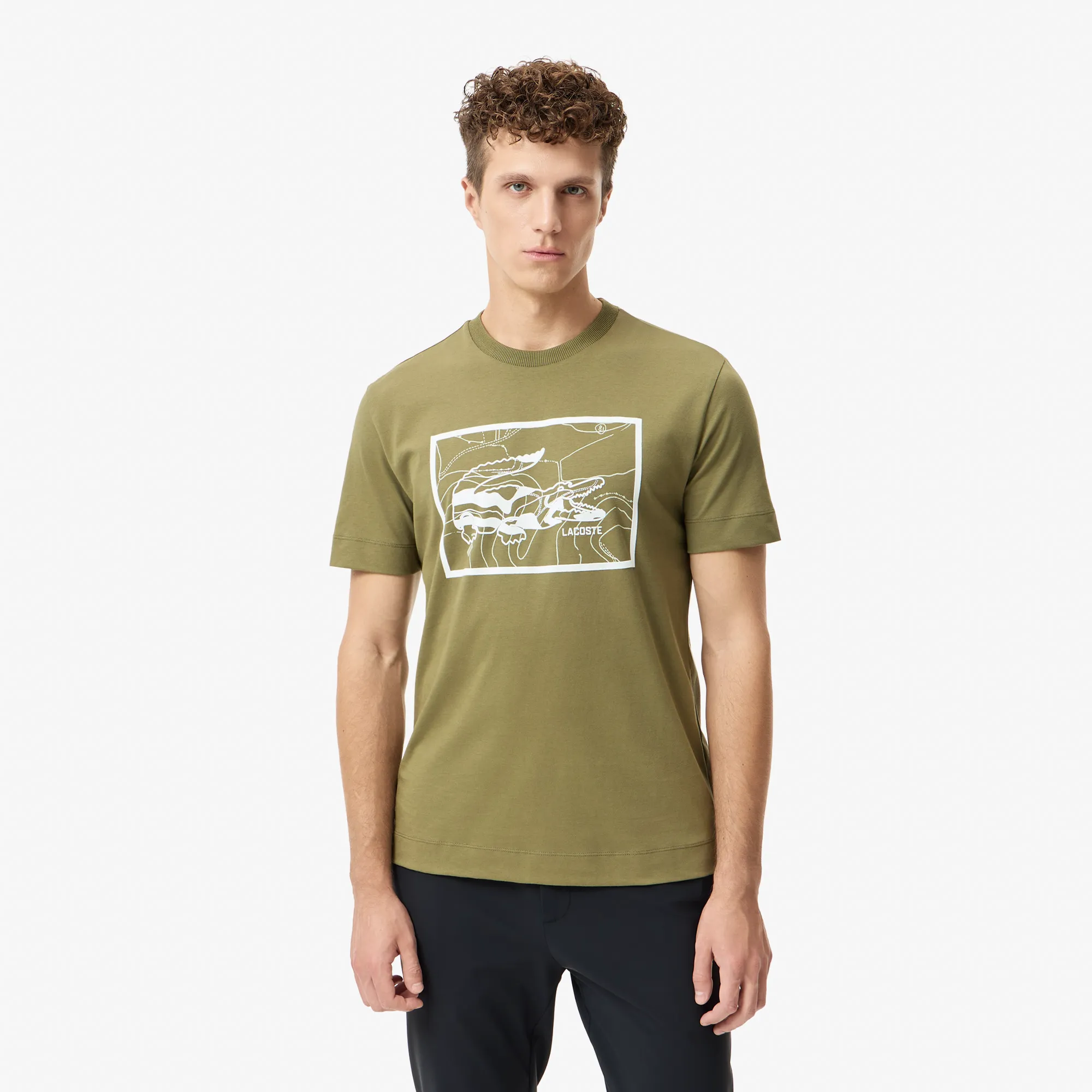 Мужская хлопковая футболка Lacoste REGULAR FIT, хаки, арт. TH2620