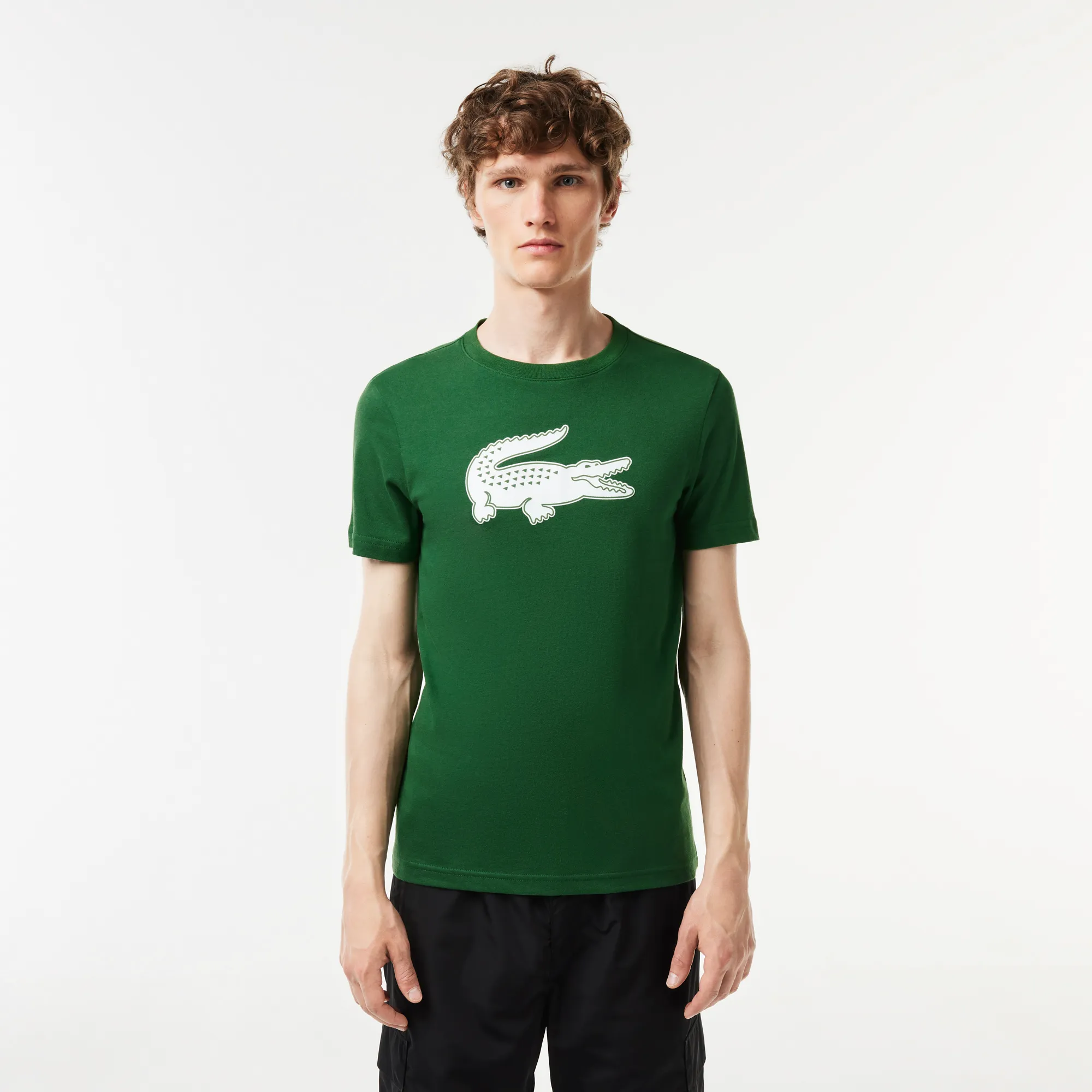 Мужская футболка Lacoste с принтом, зеленый, арт. TH2042