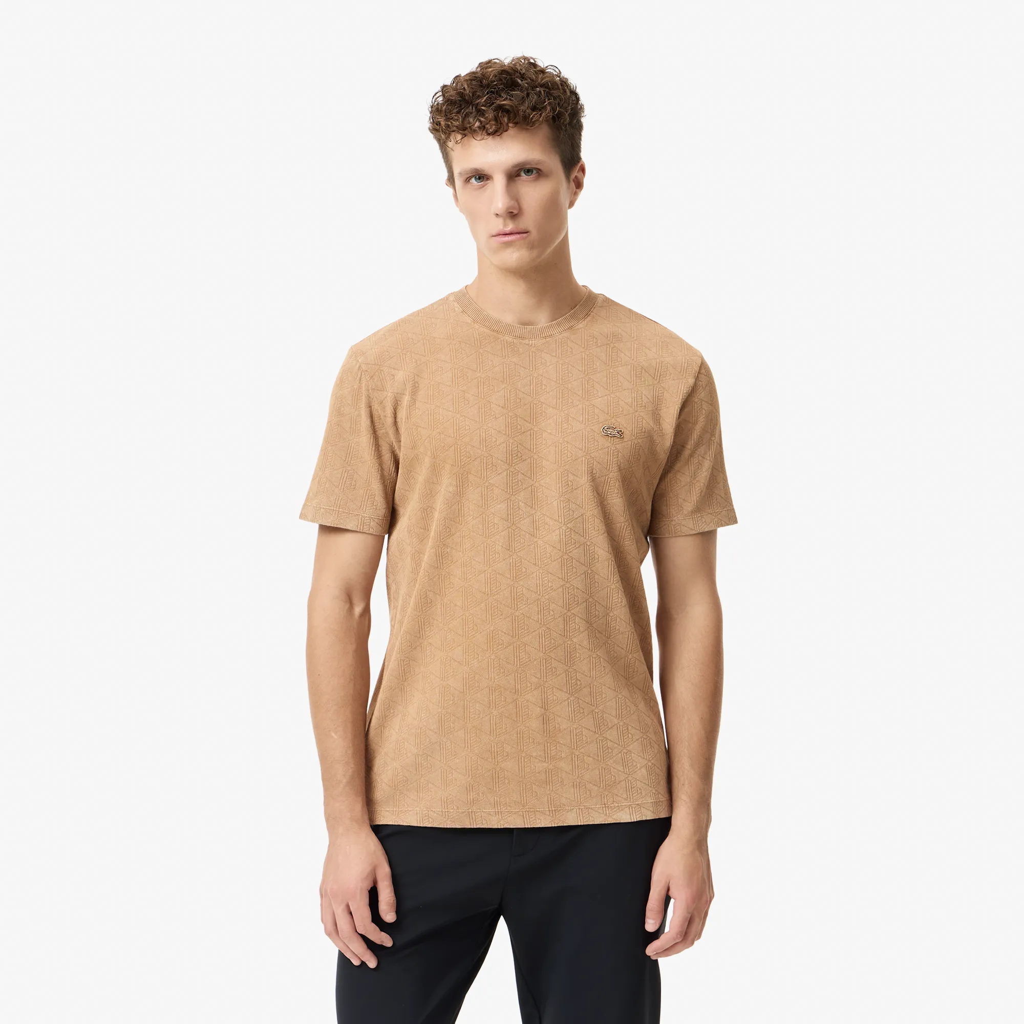 Мужская хлопковая футболка Lacoste REGULAR FIT, коричневый, арт. TH2609