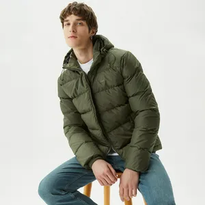 Мужская утеплённая куртка Lacoste с капюшоном, зеленый, арт. BH2347