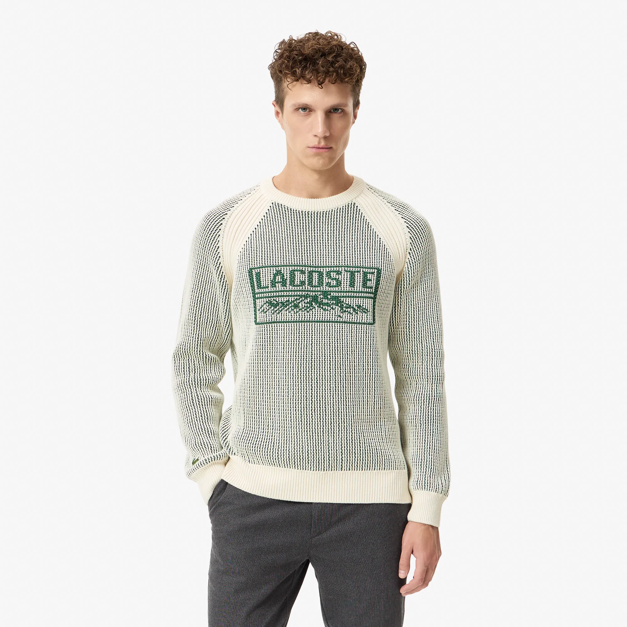 Мужской свитер Lacoste REGULAR FIT, белый, арт. AH2615