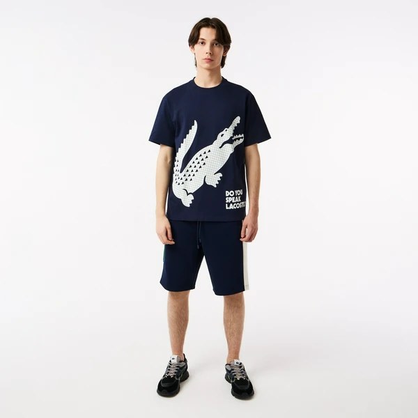 Мужские шорты Lacoste Colorblock, синий, арт. GH0408