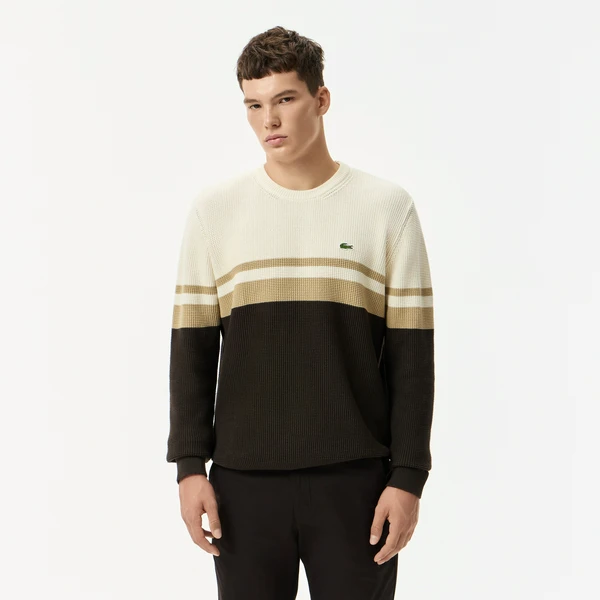 Мужской свитер Lacoste в полоску, разноцветный, арт. AH2614