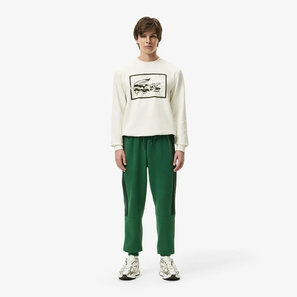 Мужские хлопковые спортивные брюки Lacoste, зеленый, арт. XH2602