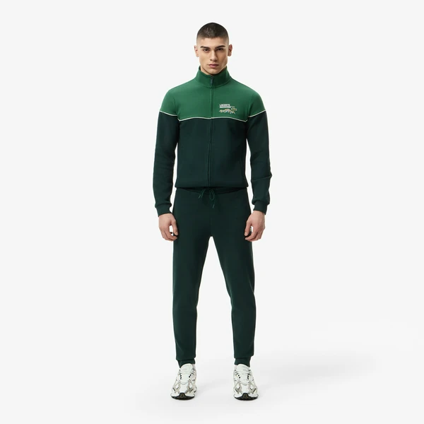 Мужские хлопковые спортивные брюки Lacoste, зеленый, арт. XH2623