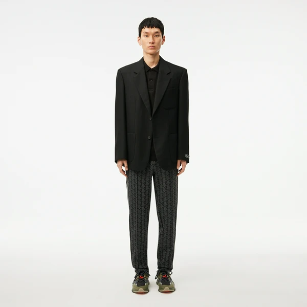 Спортивные брюки Lacoste Paris Regular Fit с монограммой, серый, арт. XH1440
