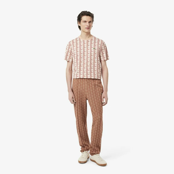 Спортивные брюки Lacoste Paris Regular Fit с монограммой, коричневый, арт. XH1440