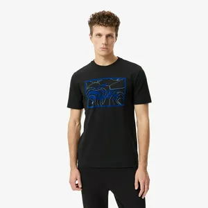 Мужская футболка Lacoste, черный, арт. TH2620