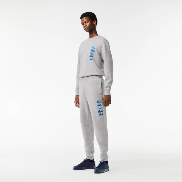 Мужские спортивные брюки Lacoste с флисом, серый, арт. XH3585
