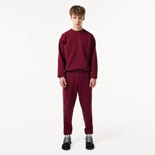 Мужские спортивные брюки Lacoste, синий, арт. XH2410