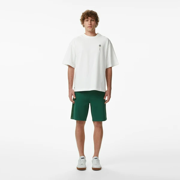 Шорты мужские Lacoste, зеленый, арт. GH0632R