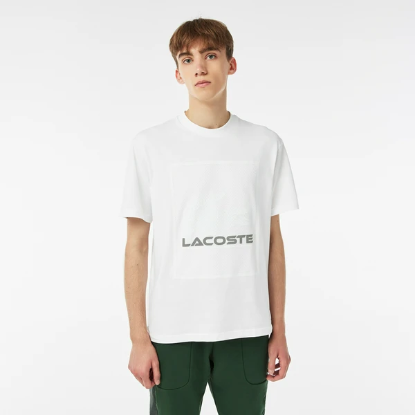 Футболка мужская Lacoste, белый, арт. TH2408