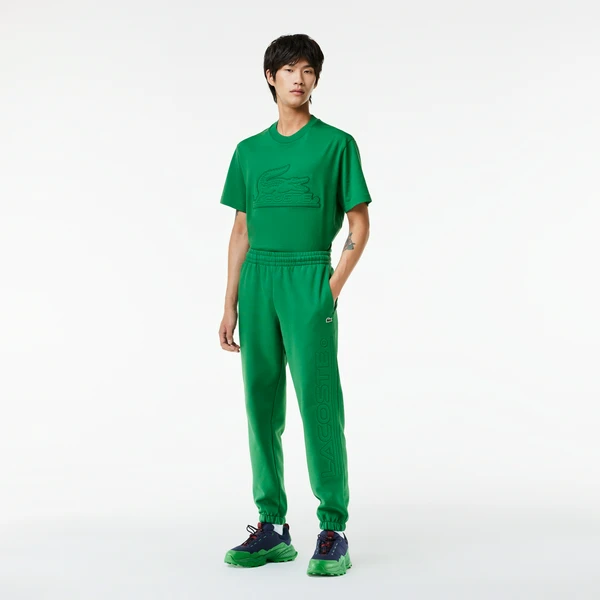 Спортивные брюки Lacoste, зеленый, арт. XH2101