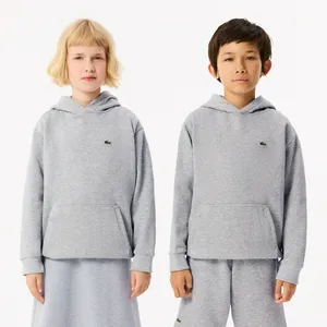 Толстовка Lacoste, серый, арт. SJ5292