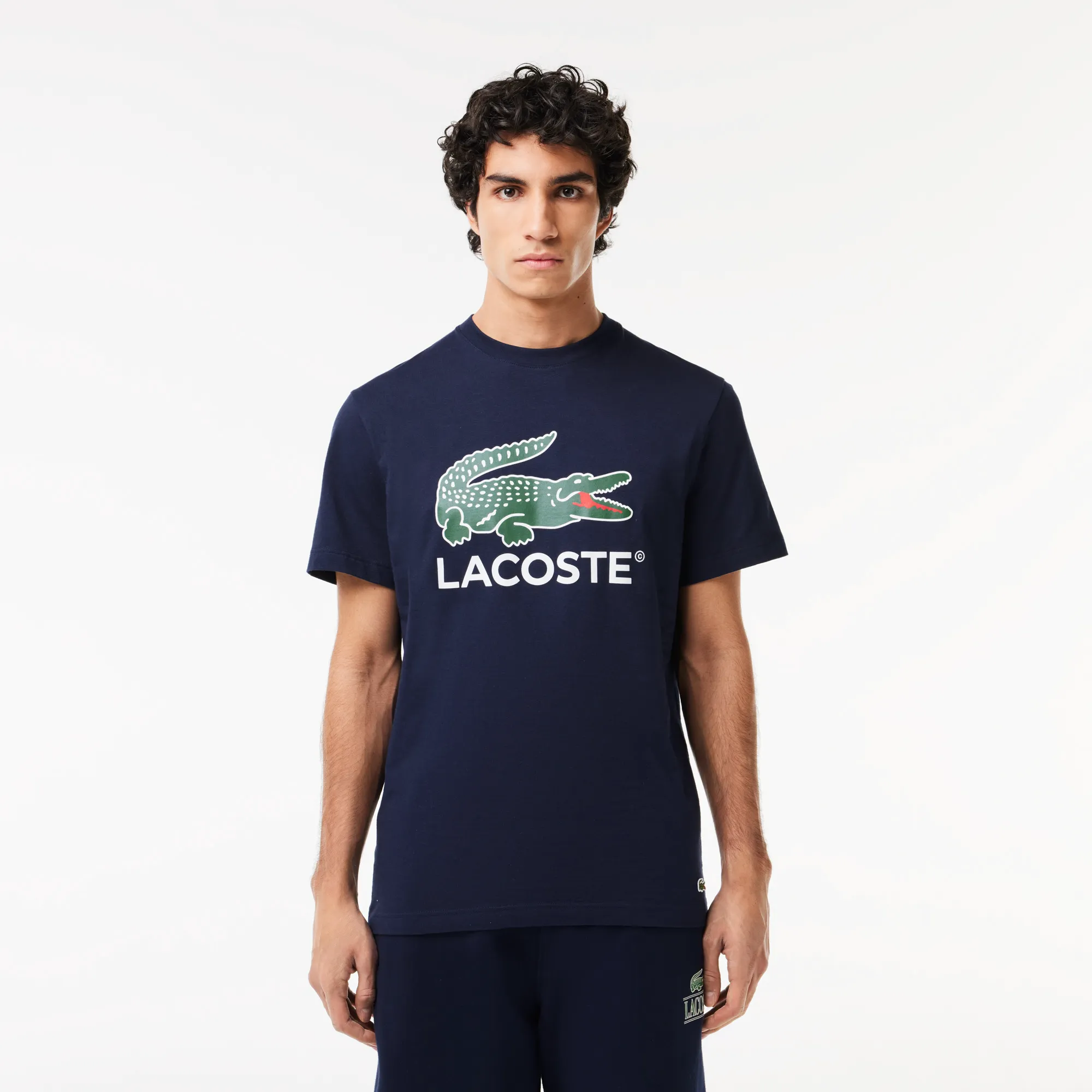 Мужская хлопковая футболка Lacoste, синий, арт. TH1285