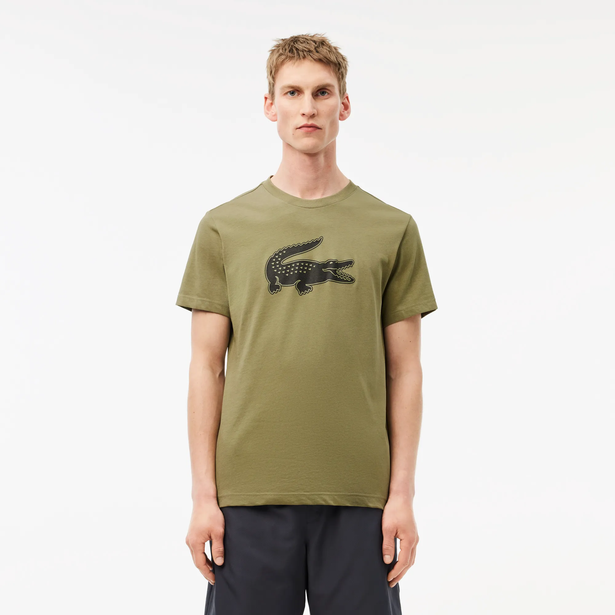 Мужская футболка Lacoste с принтом, хаки, арт. TH2042