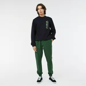 Мужские брюки Lacoste Jogger Fit, зеленый, арт. HH2433