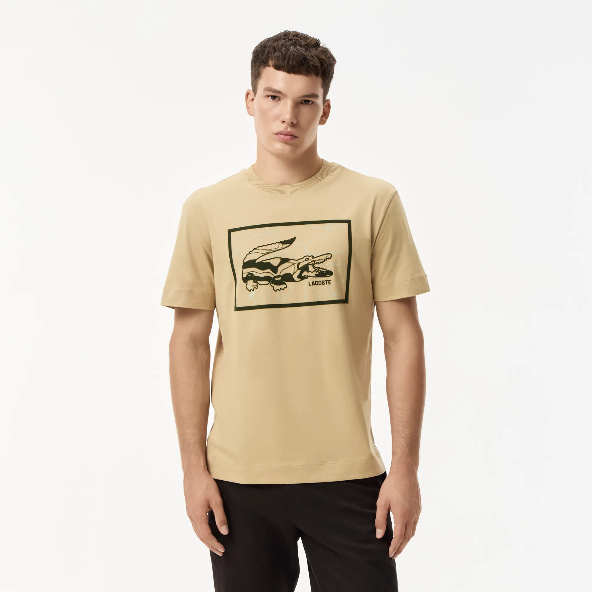 Мужская хлопковая футболка Lacoste, бежевый, арт. TH2620