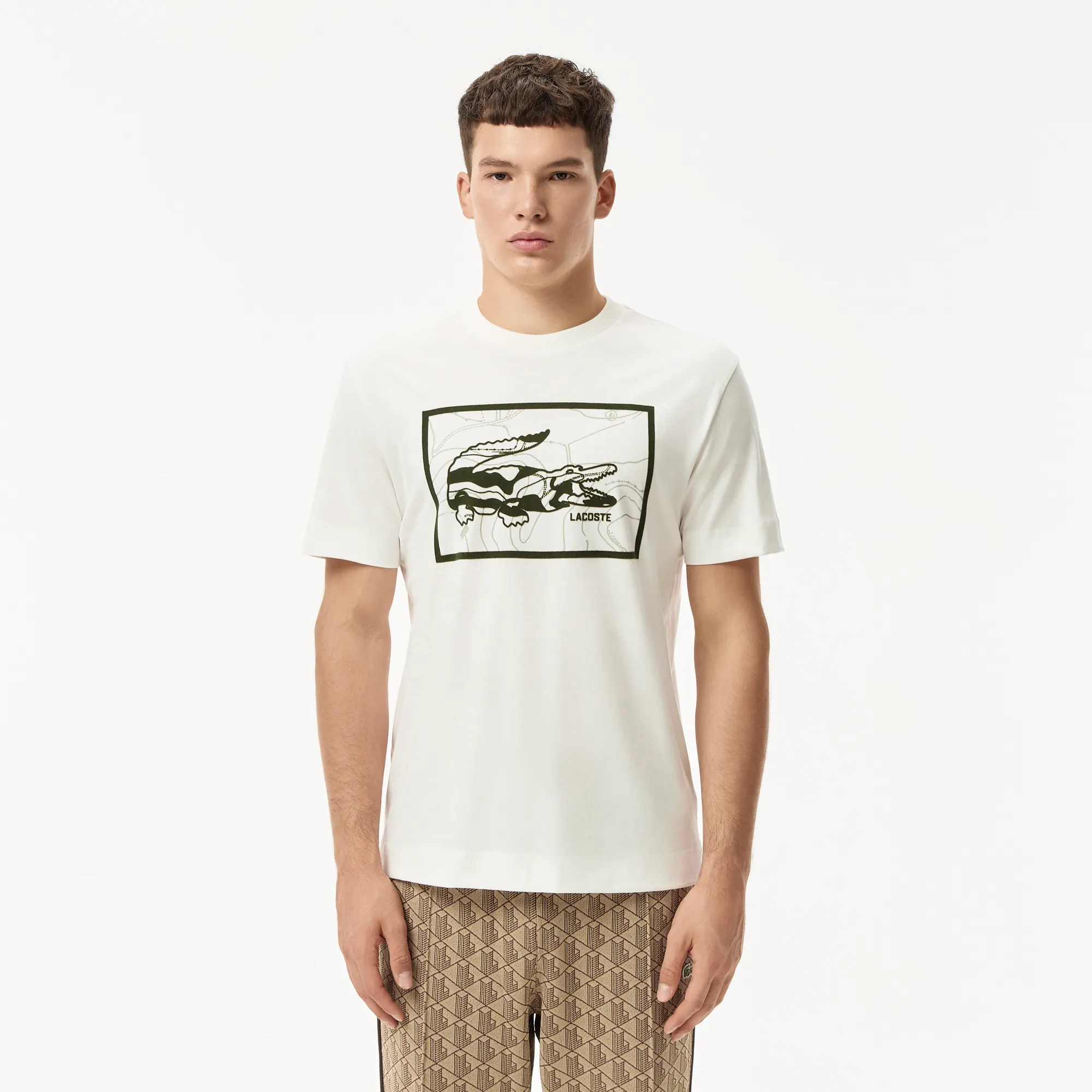 Мужская хлопковая футболка Lacoste REGULAR FIT, белый, арт. TH2620