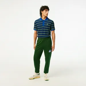 Мужские спортивные брюки Lacoste Slim Fit, зеленый, арт. XH5089